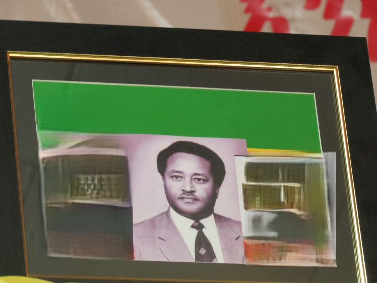 Our Executive Committee