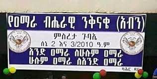 የቪዲዮ ጋለሪ